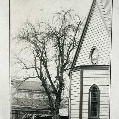 Oregon City 1892 - The Famous Apple Tree, (Methodist Apple Tree), 7th & Main
