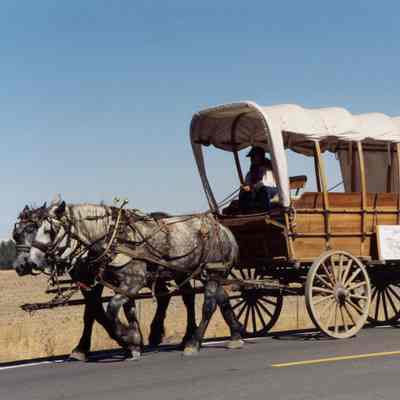 Oregon Trail Reenactment 1993 - Sesquicentennial Celebration