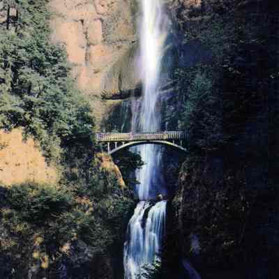 Multnomah Falls Postcard