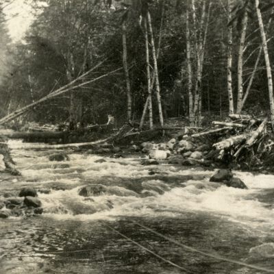 Zigzag River Oregon 1922 - Rhododendron, Oregon