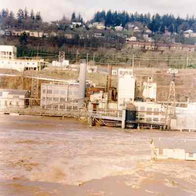 1996 Flood - Willamette River - West Linn Mill