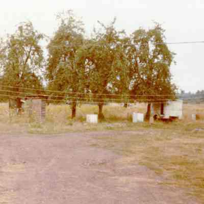 Eagle Creek 1970c. - Pear Trees Still Standing that were on the W.B. Baker Family Homestead