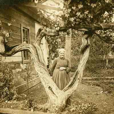 Rebecca J. Blanchard and Grape Vine on Blanchard Place.