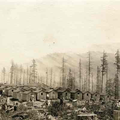 Logging Camp of Small Cabins