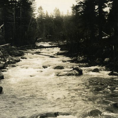 Zigzag River Oregon - Mount Hood Forest