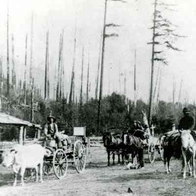 Barlow-Foster Toll Gate at Rhododendron, Oregon 1872
