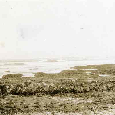 Tidepools at Coast - Talbert Collection