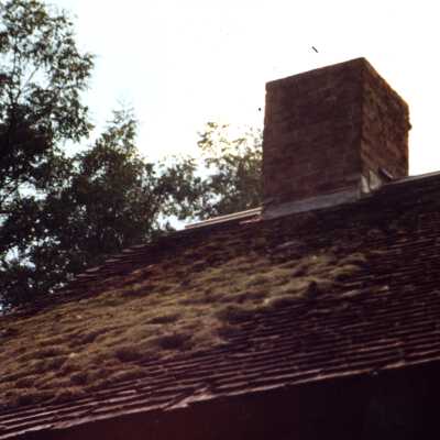 Viola School Roof