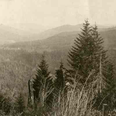 Scenic Forest and Mountain View - Talbert Collection