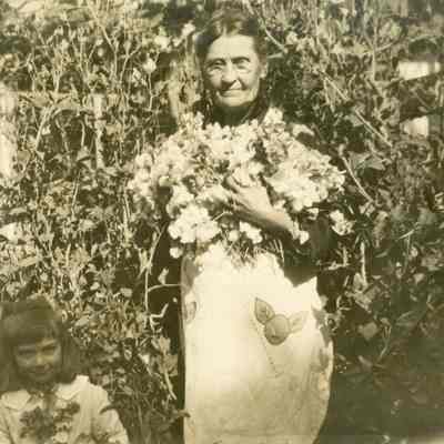 Palmateer, Anna