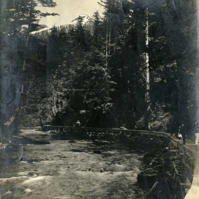 Mt Hood - Pedestrian Board Walk Along River - Possibly the Sandy River Oregon