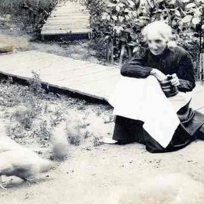 Unknown Older Woman Sitting Down on Planked Walkway Feeding Chickens