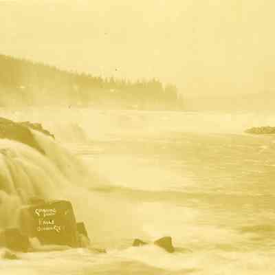 Willamette Falls
