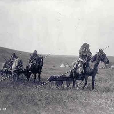 Native Americans Moving Camp with Travois and Horses in Montana c.1908