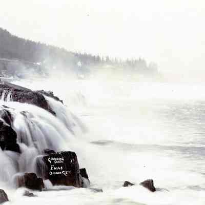 Willamette Falls 1900