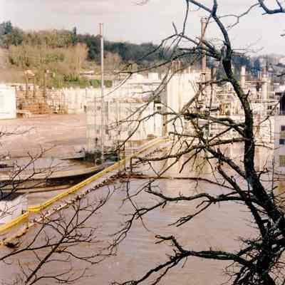 1996 Flood - Willamette River - Oregon City Mill