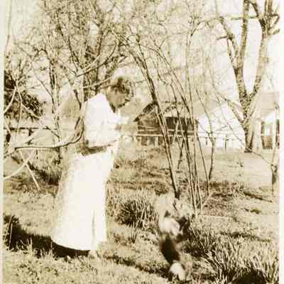 Herrington, Dora (Talbert)