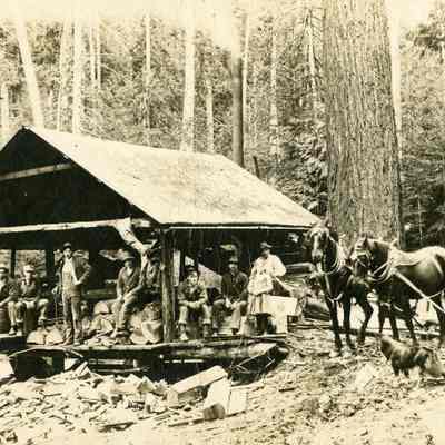 Beavercreek, Oregon - Henrici Shingle Mill 1905