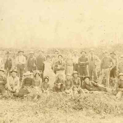 Hop Picking Crew