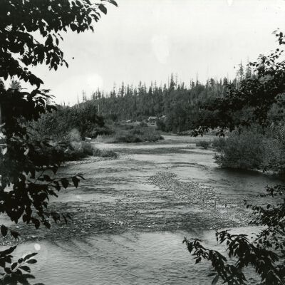 Clackamas River Scene - Forests
