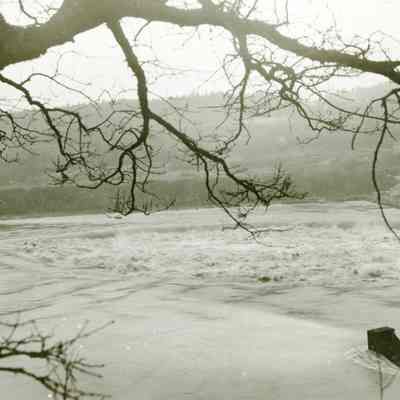 Flood - Willamette Falls