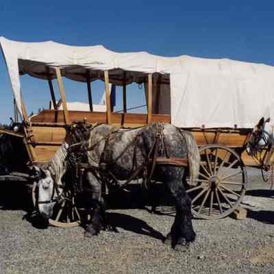 Oregon Trail Reenactment 1993 - Sesquicentennial Celebration