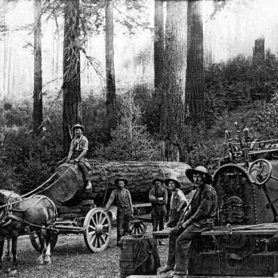 Logging Scene at Bonney Mill near Redland, 1900.: Copyright: Clackamas County Historical Society; Origsize: 4x5; Origformat: Print-Photographic