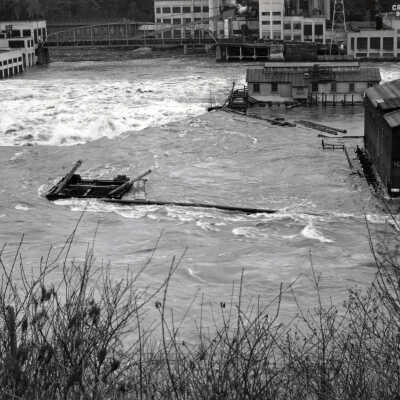 1996 Flood - Oregon City and West Linn Mills