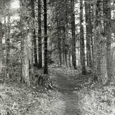 Gladstone Chautauqua Park Path to the Lake.