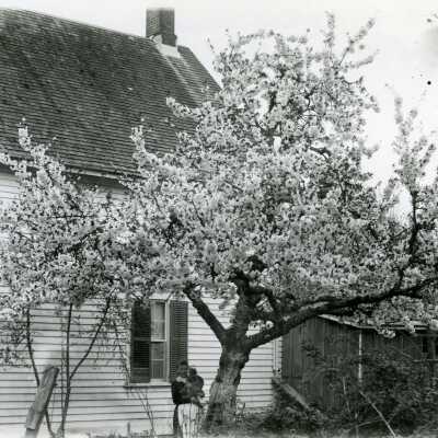 Unknown women with a cat - Residential Back Yard in Oregon City, Oregon - 1890 - Implying the side or back is the Wilde House?