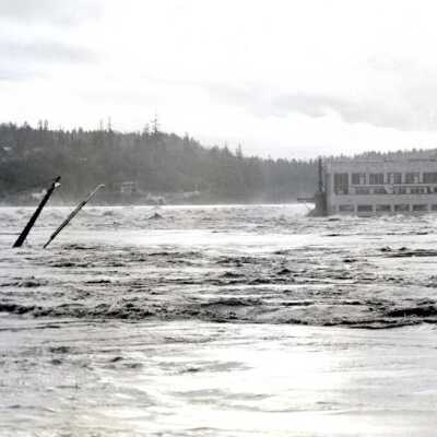 1964 Flood - Willamette Falls and West Linn Mills