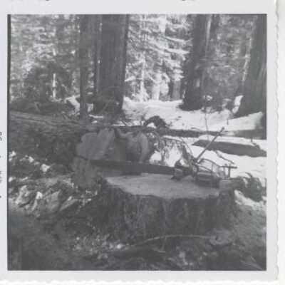 Logging