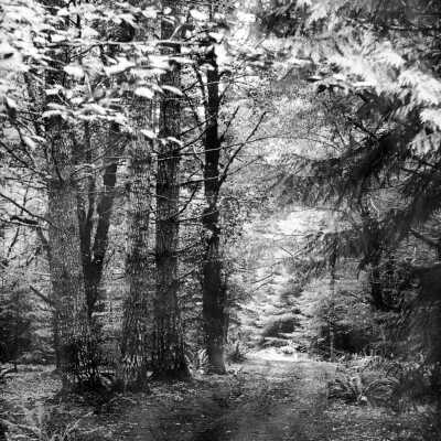Barlow Road, early photo.