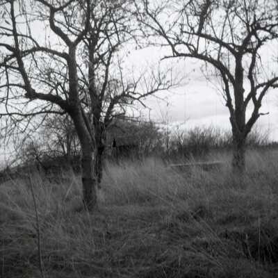 Outhuose, Lynch-Criteser photo B, 1956: Origformat: Negative