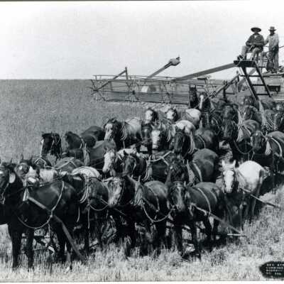 George Strachan's Combined Harvester and Thrasher