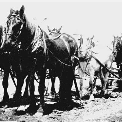 Happy Valley - Horse Drawn Road Equipment - 1915