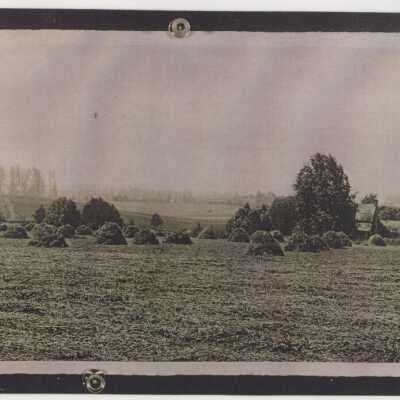Murry Hop Farms