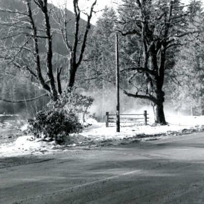 Rhododendron 1965 - Tollgate Campground