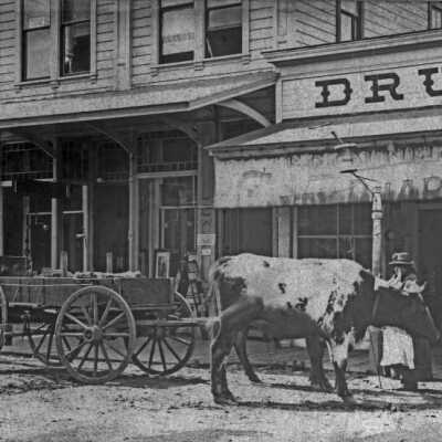 E. G. Caufield Drug Store: Origsize: 5" x7"; Origformat: Print-Photographic