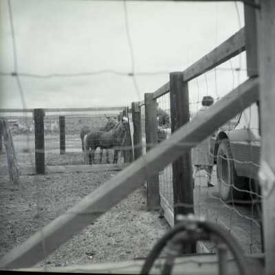 Clackamas County Historical Society Trip to Harney County, #8.