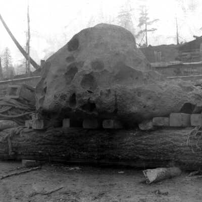 Willamette Meteorite 1902
