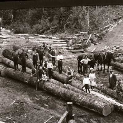 Nelson & Jarl Sawmill