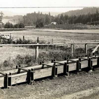 Open field with water flume for irrigation.: Origsize: 8" x 10"; Origformat: Print-Photographic