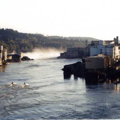 Willamette Falls and Mills as Seen from the Arch Bridge (#1)
