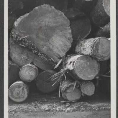 Lumber Industry