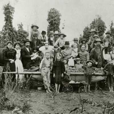 Hop Pickes at Macksburg, 1896.: Origformat: Print-Photographic