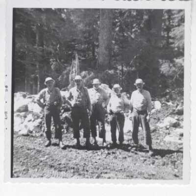 Logging