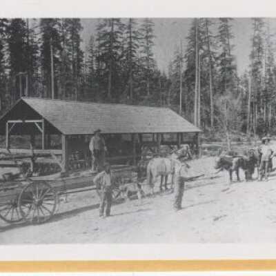 Sawmill on Tualatin River - George Saum Saw Mill