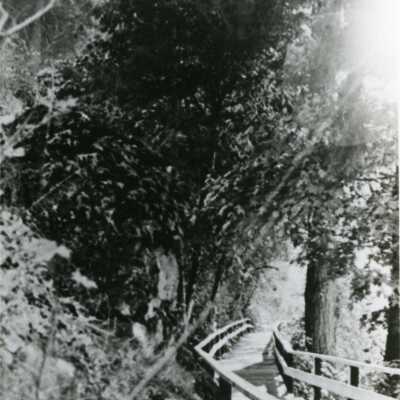 Canemah Park 1910 - Stairs