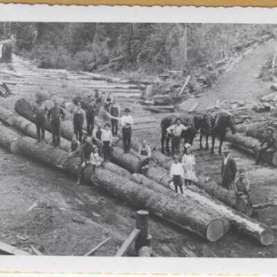 Logging - Nelson & Jarl Sawmill - 1910